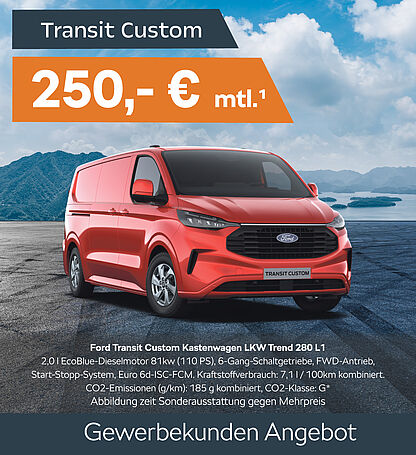Kachel-Transit-Custom