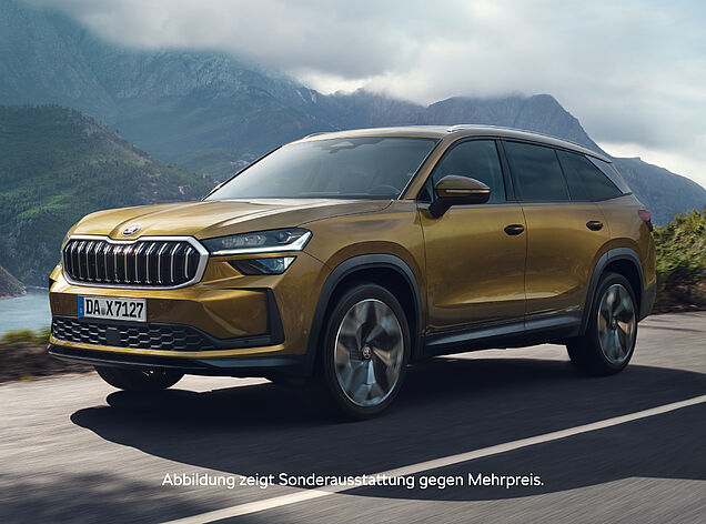 skoda_kodiaq_8001080