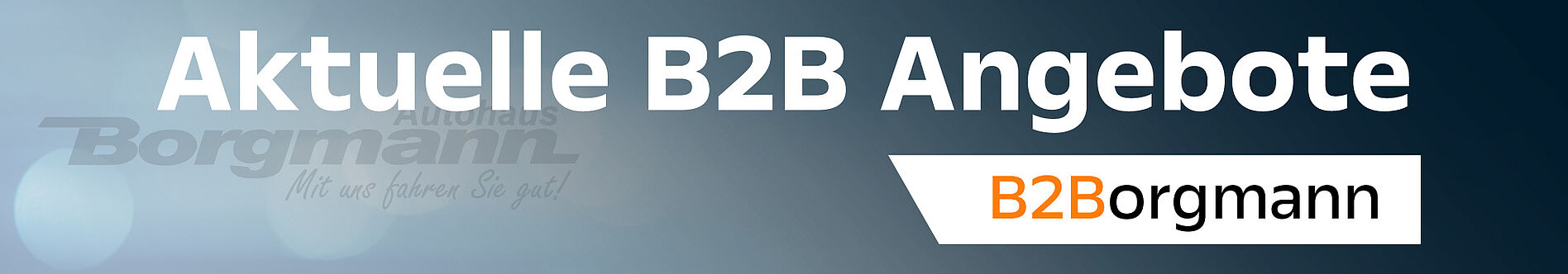Aktuelle-B2B-Angebote