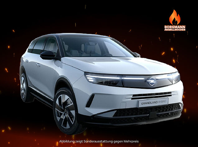 Grandland1080800-100
