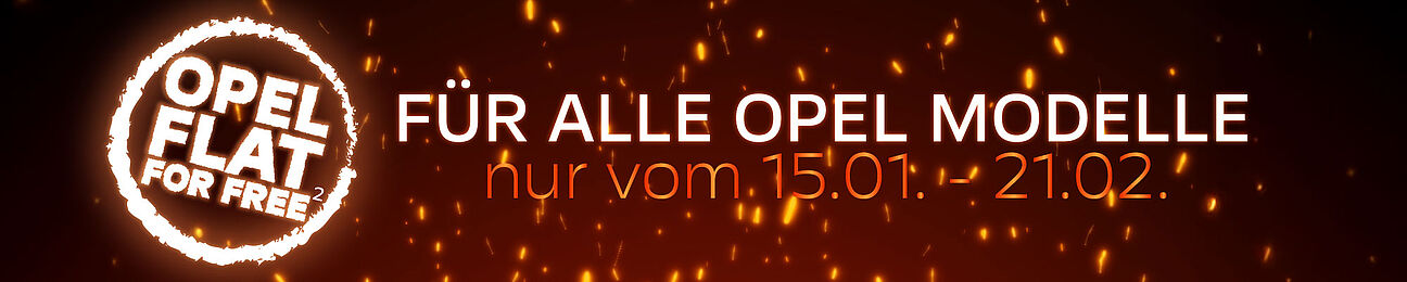 flat4free_banner_4002000