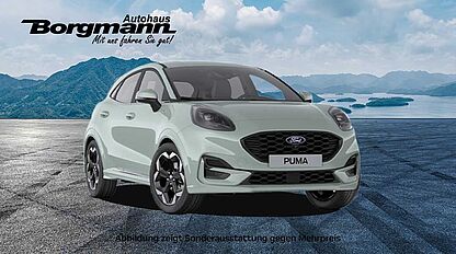Puma-6001080