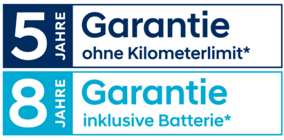 Garantie-Logo-Elektro