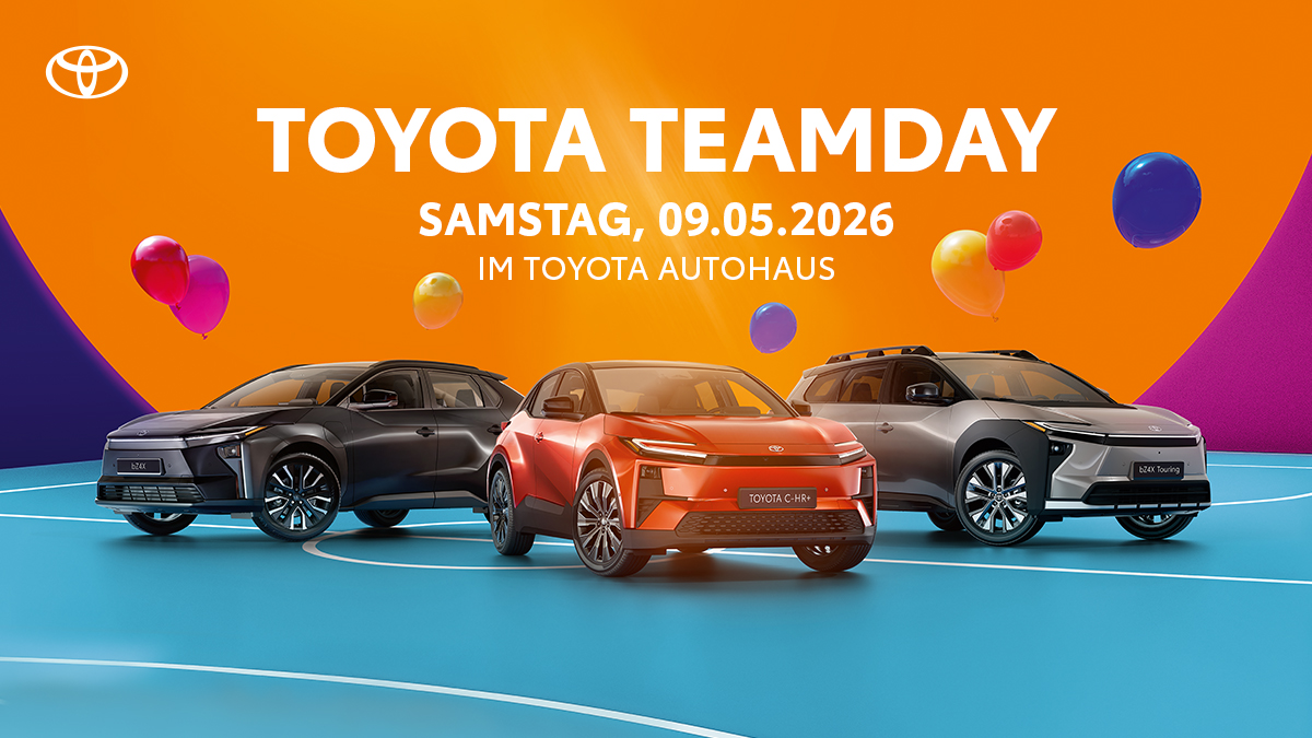 Toyota Team Day